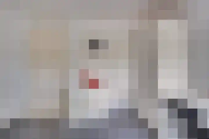 Senecalaan 14 Venlo thumbnail 36