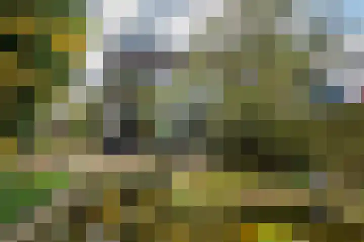 Senecalaan 14 Venlo thumbnail 46