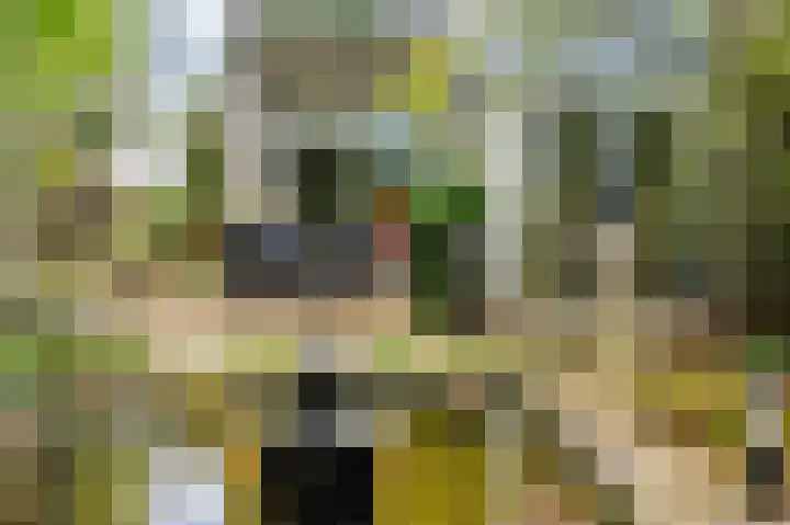 Senecalaan 14 Venlo thumbnail 47