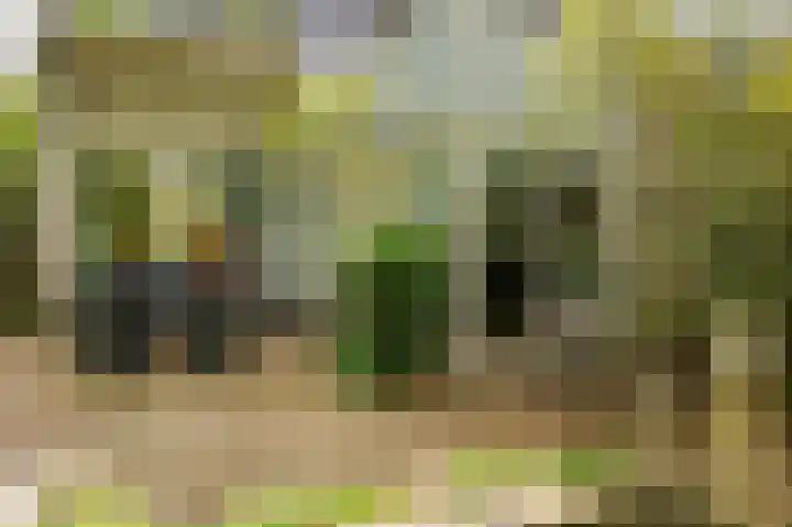 Senecalaan 14 Venlo thumbnail 48