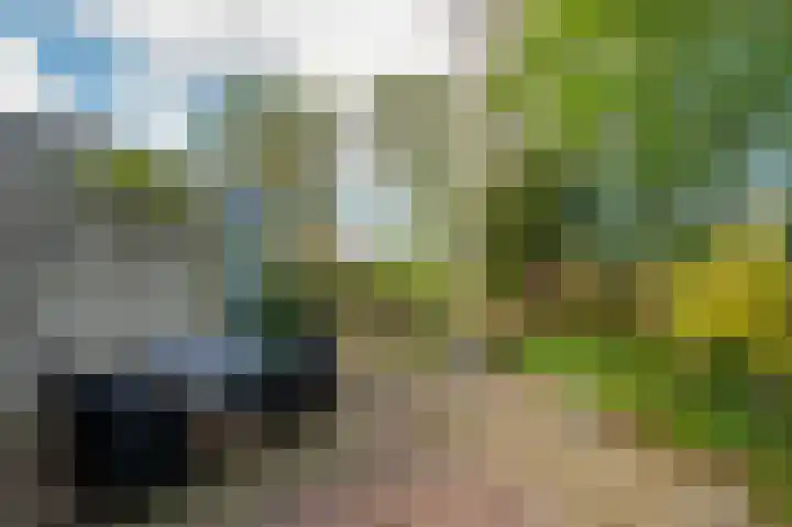 Senecalaan 14 Venlo thumbnail 50