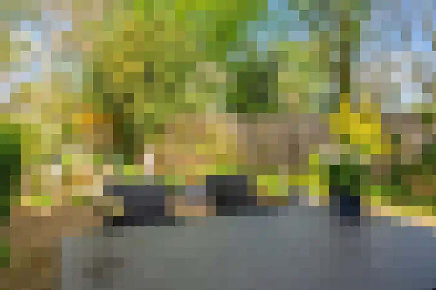 Senecalaan 14 Venlo thumbnail 51