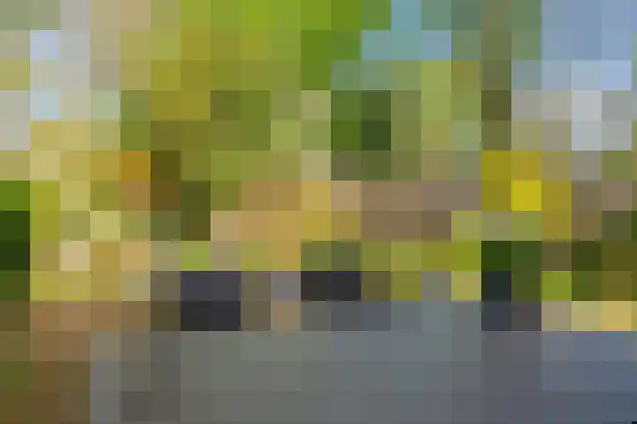 Senecalaan 14 Venlo thumbnail 51