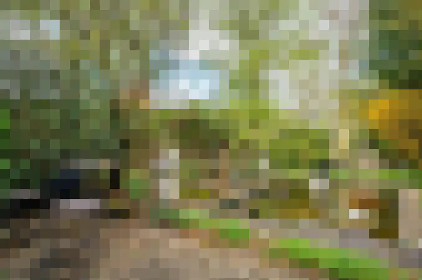 Senecalaan 14 Venlo thumbnail 52