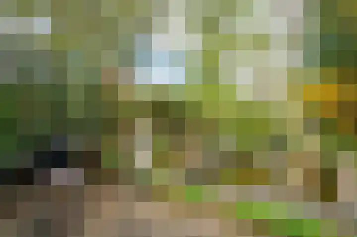 Senecalaan 14 Venlo thumbnail 52
