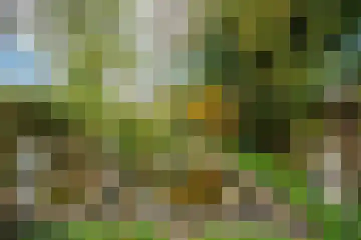 Senecalaan 14 Venlo thumbnail 53