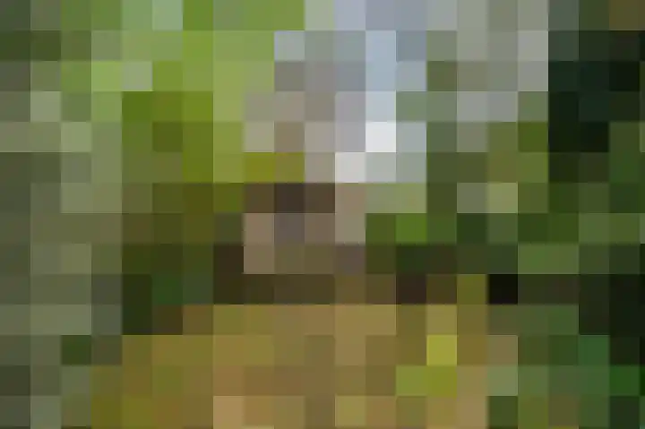 Senecalaan 14 Venlo thumbnail 54