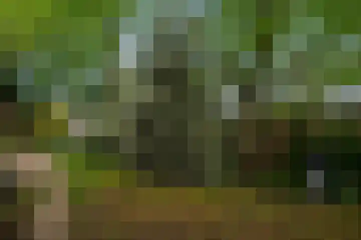 Senecalaan 14 Venlo thumbnail 55
