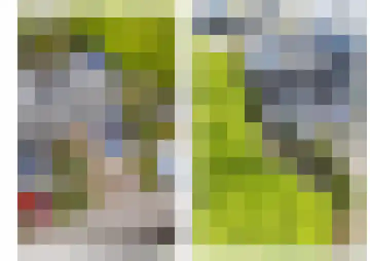 Senecalaan 14 Venlo thumbnail 58