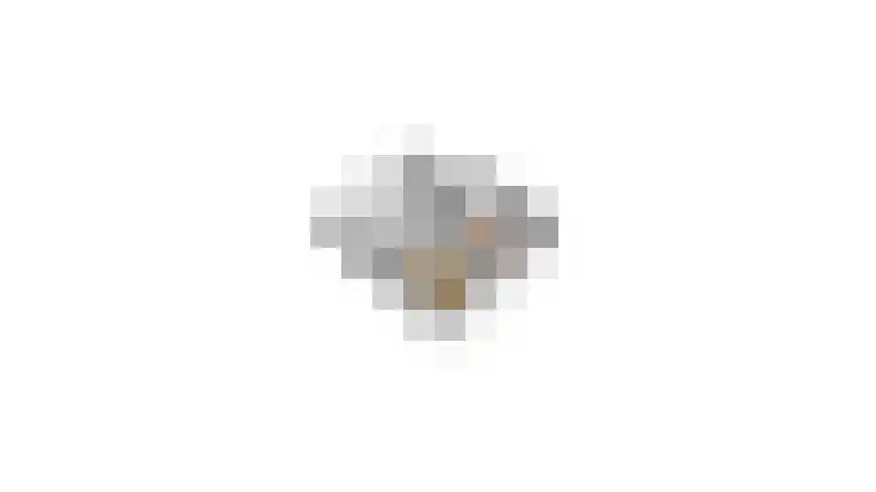 Senecalaan 14 Venlo thumbnail 67