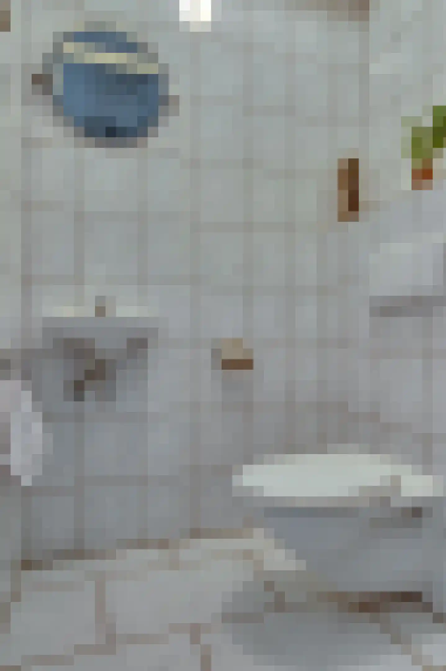 Senecalaan 14 Venlo thumbnail 7