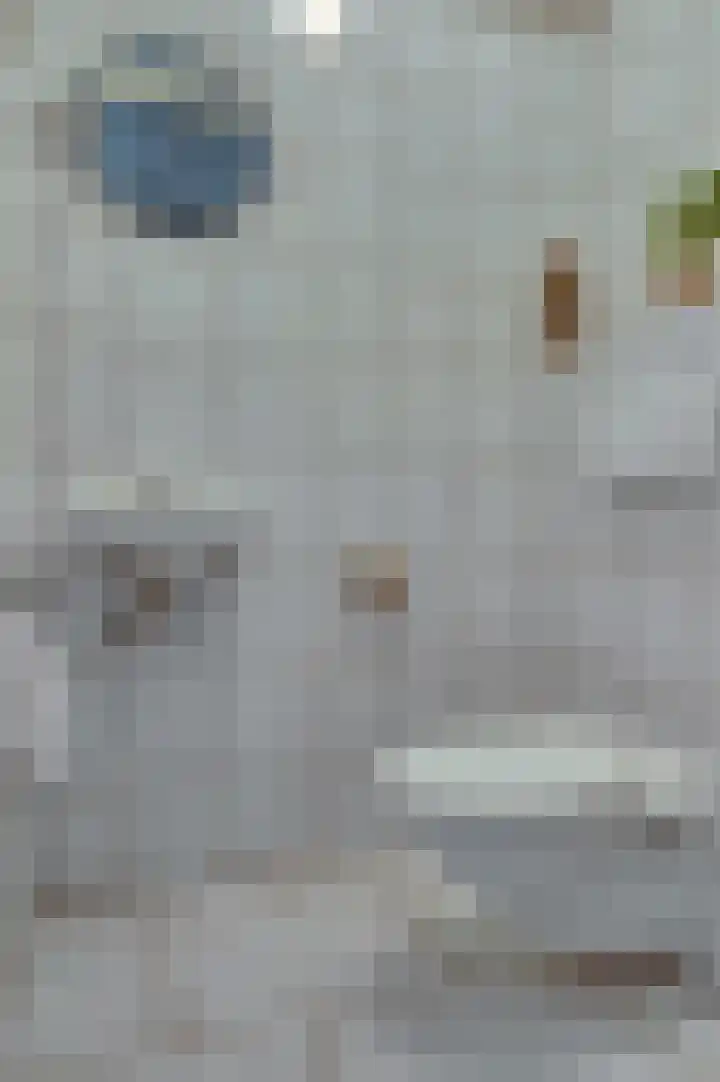 Senecalaan 14 Venlo thumbnail 7