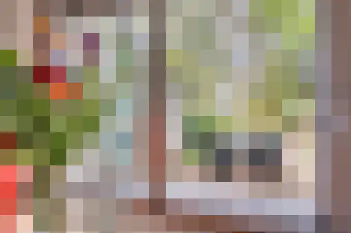 Senecalaan 14 Venlo thumbnail 9