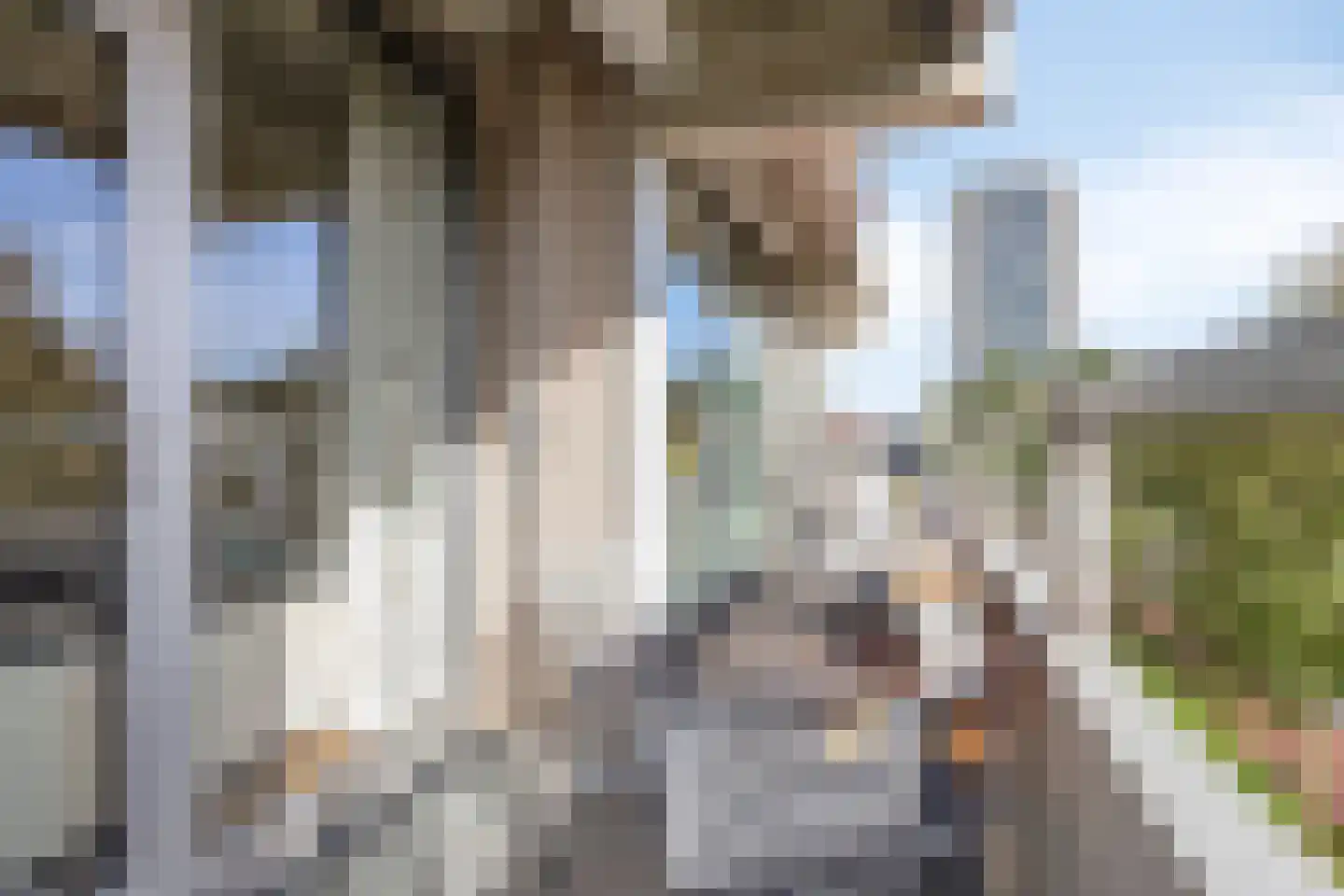 Senecalaan 23 's-Hertogenbosch thumbnail 20
