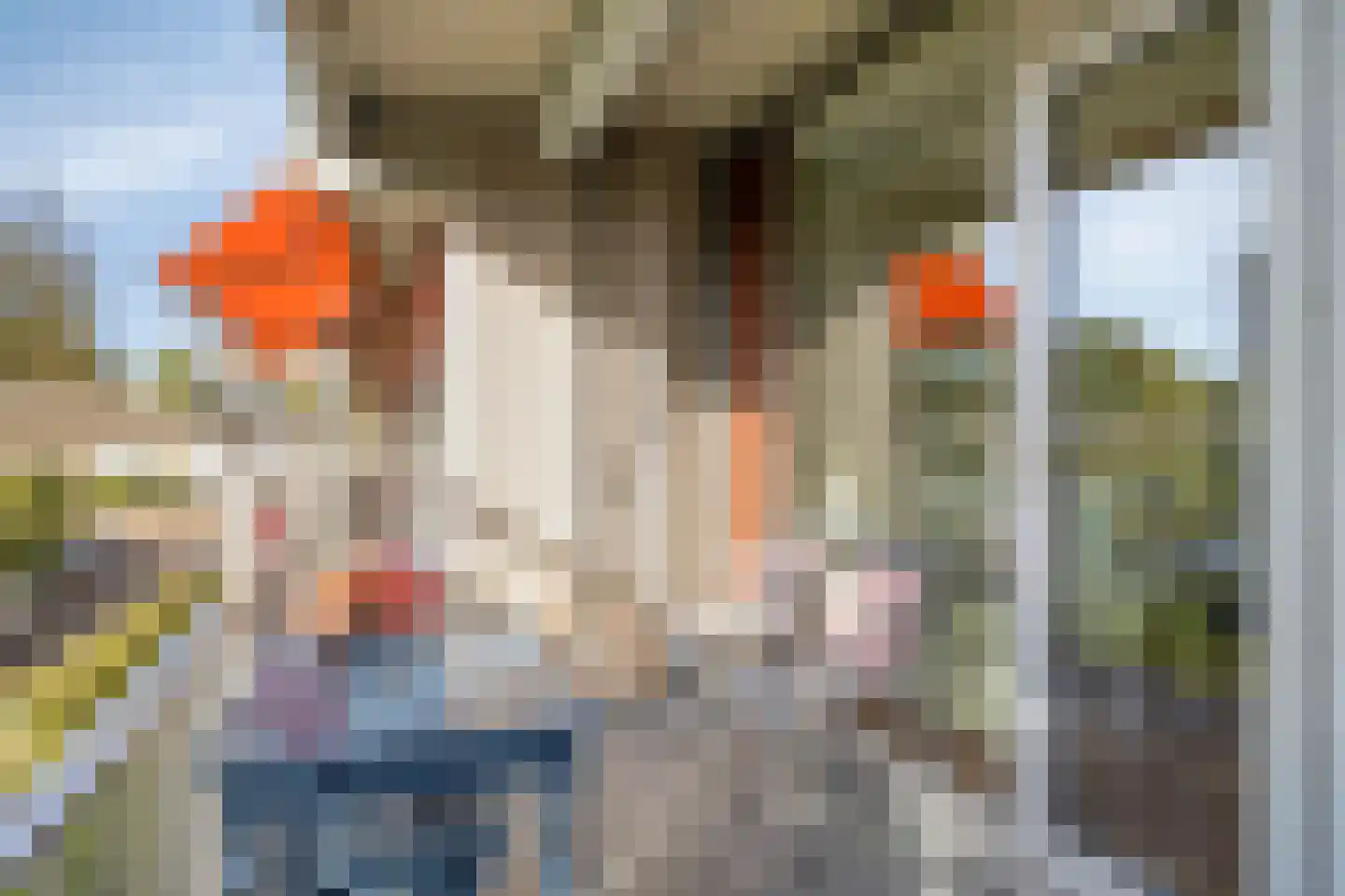 Senecalaan 23 's-Hertogenbosch thumbnail 32