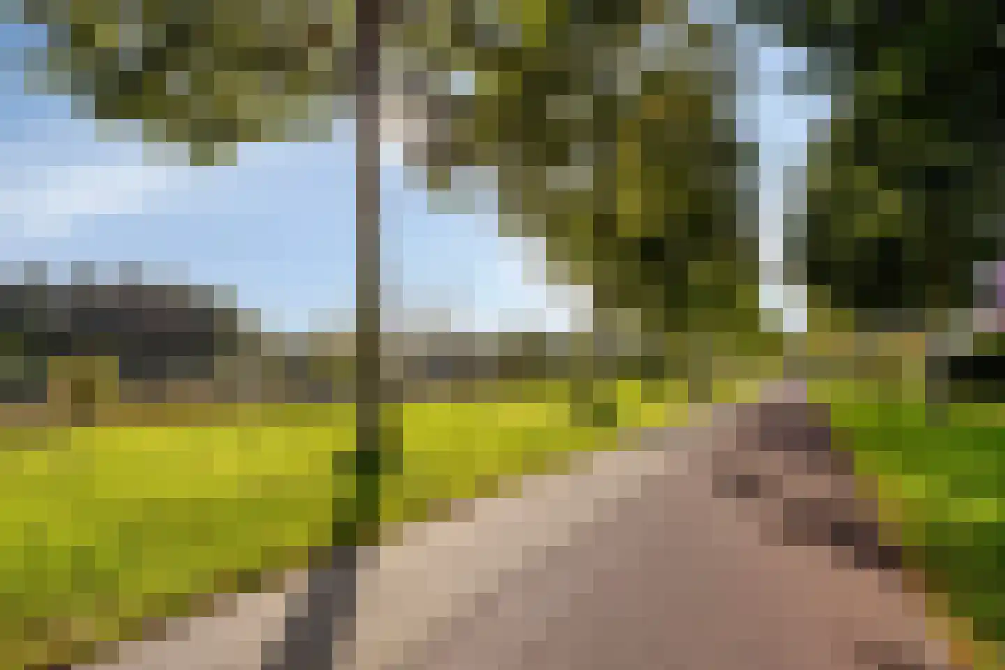 Senecalaan 23 's-Hertogenbosch thumbnail 44