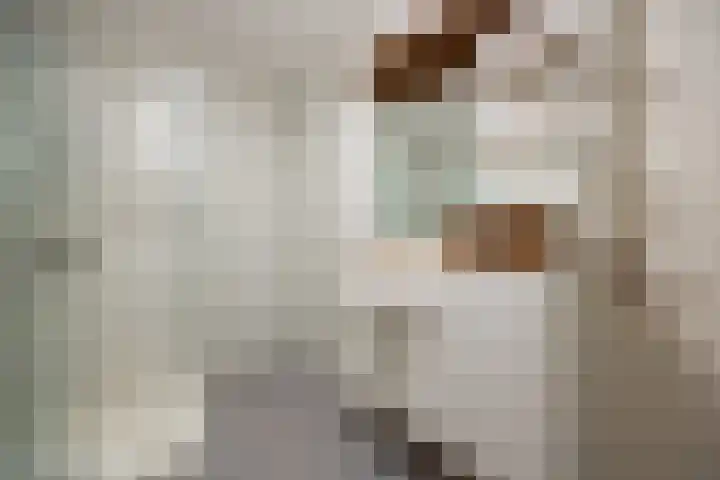 Senecalaan 25 's-Hertogenbosch thumbnail 39