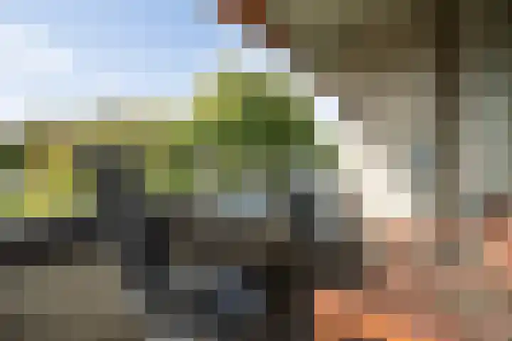 Senecalaan 25 's-Hertogenbosch thumbnail 44