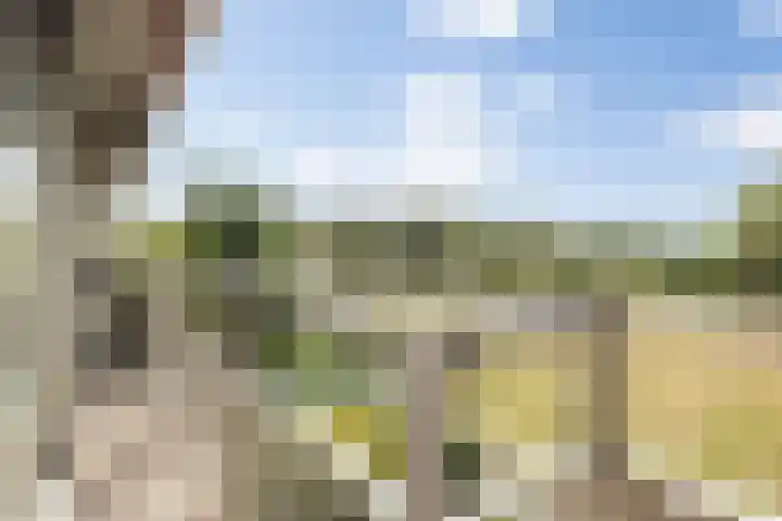 Senecalaan 25 's-Hertogenbosch thumbnail 45