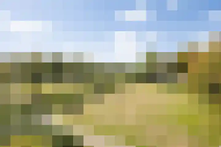 Senecalaan 25 's-Hertogenbosch thumbnail 46