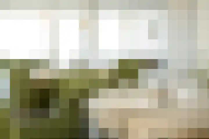 Senecalaan 25 's-Hertogenbosch thumbnail 49