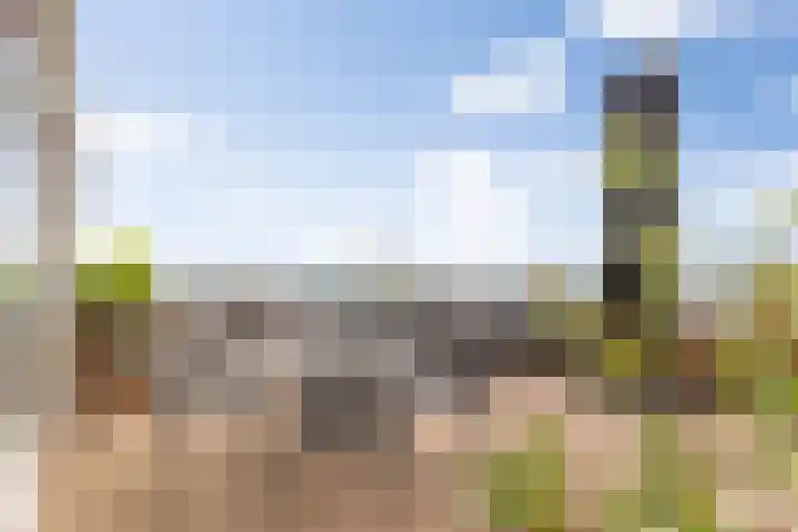 Senecalaan 25 's-Hertogenbosch thumbnail 51