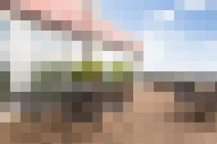 Senecalaan 25 's-Hertogenbosch thumbnail 52