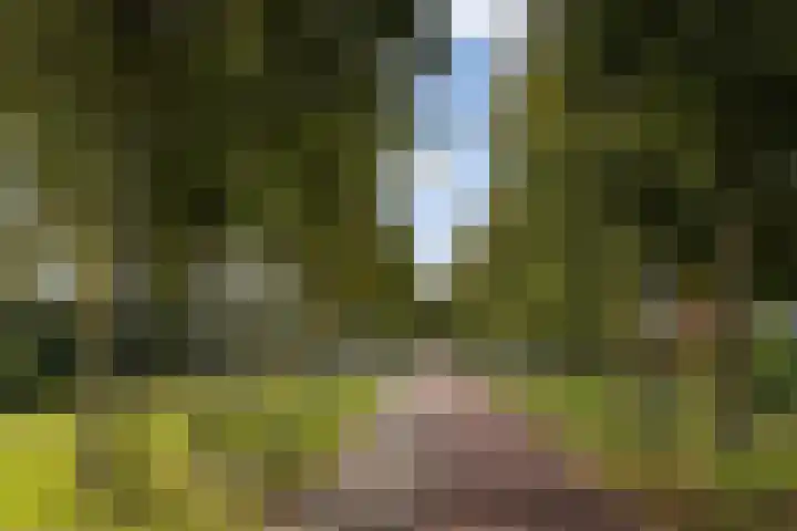 Senecalaan 25 's-Hertogenbosch thumbnail 56
