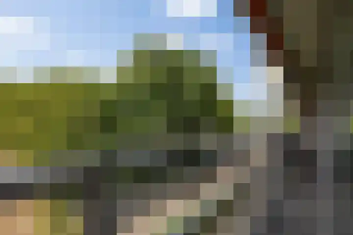 Senecalaan 26 's-Hertogenbosch thumbnail 21