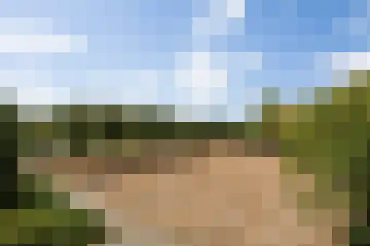 Senecalaan 26 's-Hertogenbosch thumbnail 22