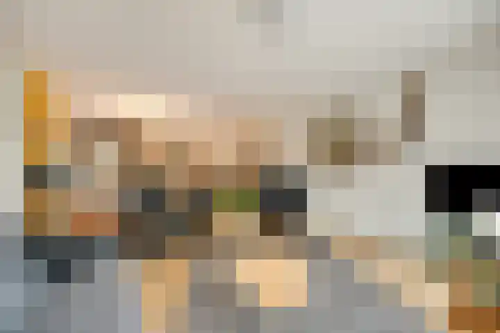 Senecalaan 26 's-Hertogenbosch thumbnail 25