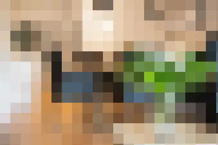 Senecalaan 26 's-Hertogenbosch thumbnail 28
