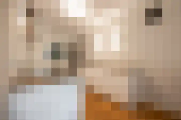Senecalaan 26 's-Hertogenbosch thumbnail 33