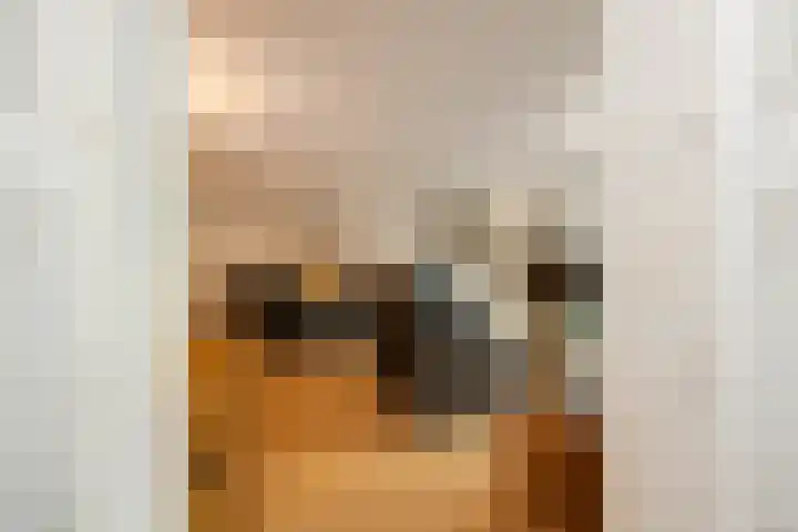 Senecalaan 26 's-Hertogenbosch thumbnail 34