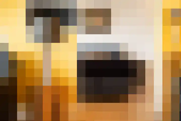 Senecalaan 26 's-Hertogenbosch thumbnail 36