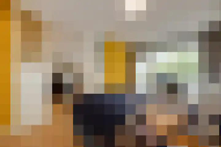 Senecalaan 26 's-Hertogenbosch thumbnail 37