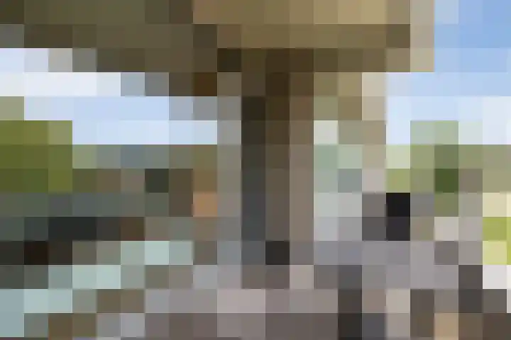 Senecalaan 26 's-Hertogenbosch thumbnail 39