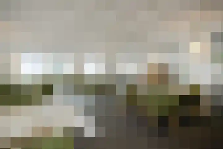 Senecalaan 26 's-Hertogenbosch thumbnail 44