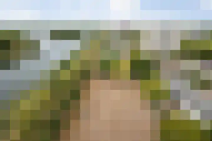 Senecalaan 26 's-Hertogenbosch thumbnail 49