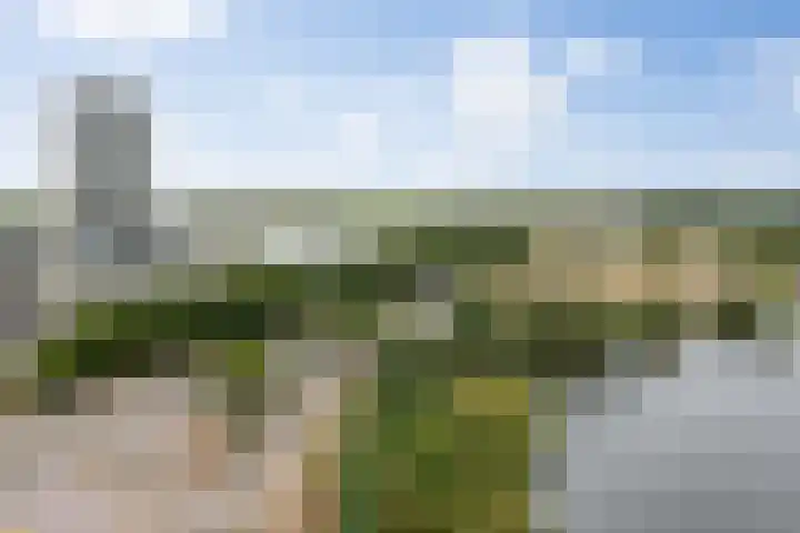 Senecalaan 26 's-Hertogenbosch thumbnail 51