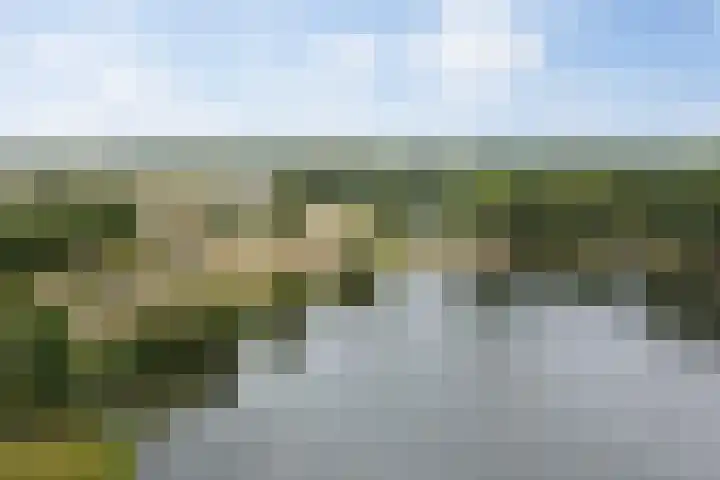 Senecalaan 26 's-Hertogenbosch thumbnail 52