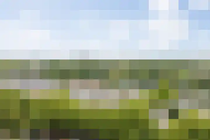 Senecalaan 26 's-Hertogenbosch thumbnail 53