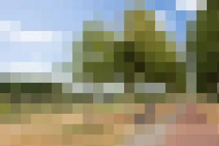 Senecalaan 26 's-Hertogenbosch thumbnail 54