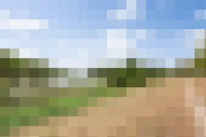 Senecalaan 26 's-Hertogenbosch thumbnail 55