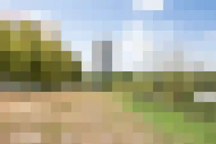 Senecalaan 26 's-Hertogenbosch thumbnail 56