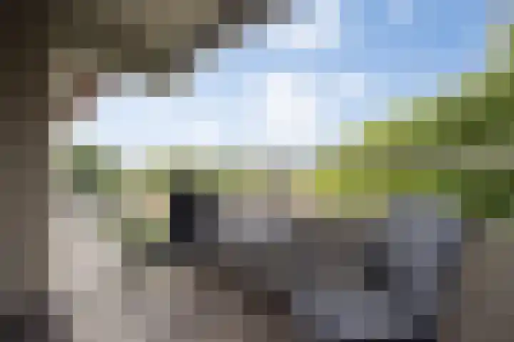 Senecalaan 26 's-Hertogenbosch thumbnail 6