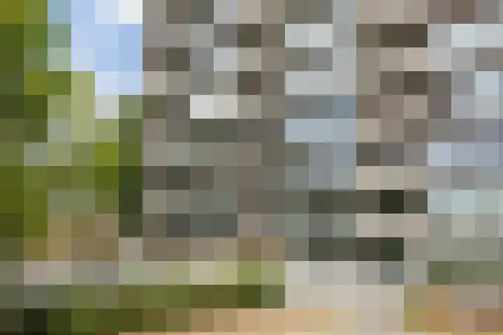 Senecalaan 26 's-Hertogenbosch thumbnail 9