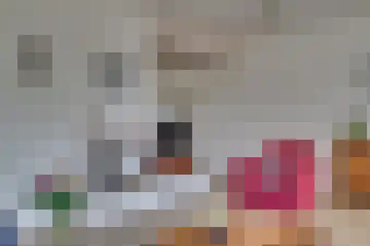 Senecalaan 4 Venlo thumbnail 12