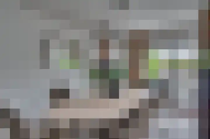 Senecalaan 4 Venlo thumbnail 15
