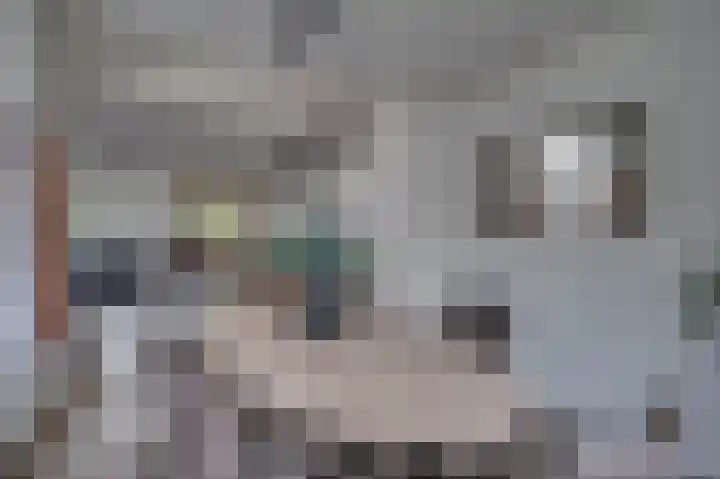 Senecalaan 4 Venlo thumbnail 16